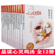 tnsy品读心灵鸡汤（全12册）爱是世界通用的语言 别错过那个好的自己 不要嘲笑有梦想的人 放飞心灵的风筝 那些年我们学会了承受时