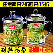 现货速发青无铅耐热玻璃杯带盖加厚泡茶水杯家用办公杯子带把茶杯