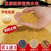 鹦鹉饲料谷子鸟粮黄带壳小米鸟食，牡丹虎皮玄凤珍珠文鸟5斤专用粮