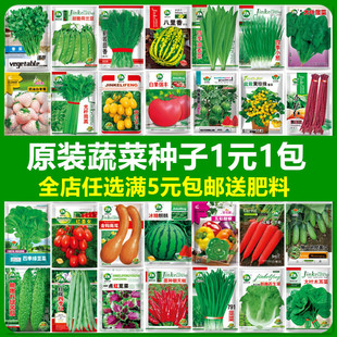 蔬菜种子香菜番茄辣椒豆角黄瓜，青菜籽生菜萝卜，白菜四季播种孑大全