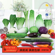 仿真蔬菜水果假食物模型套装摆件店农家乐样板厨房装饰早教玩道具