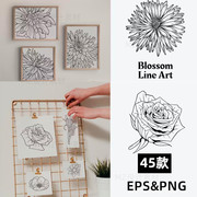 线条手绘线稿花卉花朵艺术装饰插画AI矢量图PNG设计logo图标素材