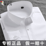啄木鸟白色衬衫男士短袖，长袖夏季商务正装工装，职业中青年蓝棉衬衣
