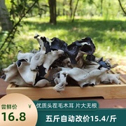 白背木耳头茬毛木耳肉，厚非野生脆木耳黑木耳，干货500g商用