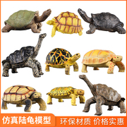 仿真动物模型陆龟，玩具加拉帕戈斯象龟两栖塑料儿童，科教认知摆件