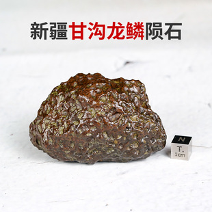 新疆天然甘沟龙鳞陨石原石把件摆件强磁保真宇宙标本保真收藏