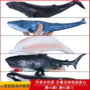 海底仿真海洋生物软胶大白鲨玩具动物，模型鲨鱼鲸鱼，软的儿童男礼物