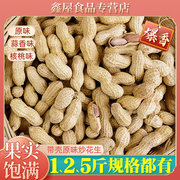 2023年新花生(新花生)原味，铁锅炒熟花生，农家自种带壳花生粉皮花生米