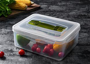 安立格4.6L9.5L大容量泡菜盒子速冻饺盒手提保鲜盒冷冻密封盒米箱