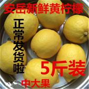 本季新鲜柠檬酵素水果产品黄柠檬(黄柠檬)皮薄多汁，一二级小中大果5斤