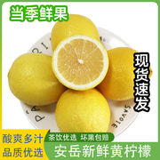 四川安岳柠檬黄柠檬新鲜奶(新鲜奶)茶店专用商用香水柠檬无籽柠檬