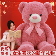 大熊毛绒玩具公仔布，洋娃娃抱抱熊泰迪熊猫，大号新年玩偶女生日礼物