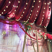 圣诞婚礼灯泡商场橱窗装饰户外圆形5CM布置LED串灯婚庆吊灯球节