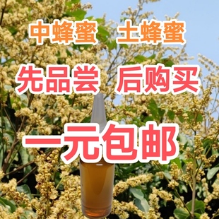 广东冬蜜蜂蜜中蜂蜜土蜂蜜，百花蜜农家蜜，纯天然零添加便携装挤压装