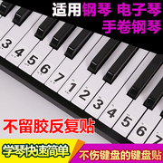 初学者88键钢琴键盘贴纸54/49/37简谱电子琴61键键盘贴按键音符贴