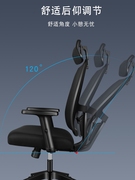 骆德威人体工学椅电脑椅电竞椅，家用舒适久坐工程学，椅子座椅办