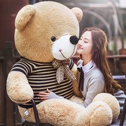 毛绒玩具泰迪熊巨型公仔超大熊猫，玩偶七夕送女朋友抱抱熊生日