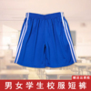 校服裤子宝蓝色两条杠夏季五分短裤运动男女，初高中小学生薄款校裤