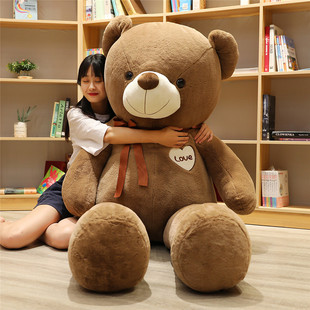 可爱熊毛绒(熊毛绒)玩具抱抱熊，泰迪熊熊猫公仔狗熊布娃娃女友生日礼物儿童