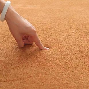 毯子珊瑚绒柔软短毛绒卧室地毯客厅沙发地毯飘窗满铺超榻榻米地垫