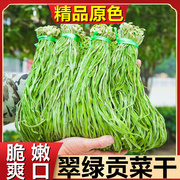 云南贡菜干干货500g农家土特产新鲜苔菜干响菜脱水蔬菜火锅食材