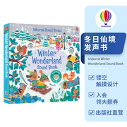 Usborne Winter Wonderland Sound Book 冬日仙境 发声书 镂空触摸设计 指触 亲子绘本 英文原版进口儿童图书