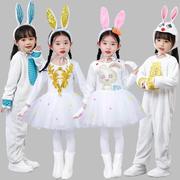 儿童小兔子演出服小白兔表演服幼儿园动物卡通舞蹈服兔子纱裙连体
