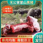 无公害沂蒙山黑猪肉土猪肉新鲜农家，散养山养猪肉，腿骨前后腿骨头