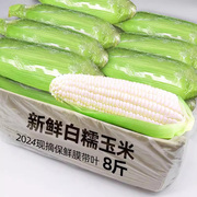 新鲜现摘白糯玉米真空锁鲜出口品质香甜粘玉米非转基因白糯整箱
