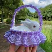 篮子里的小兔子仿真兔兔毛绒玩具迷你花篮，儿童节日玩偶送女孩
