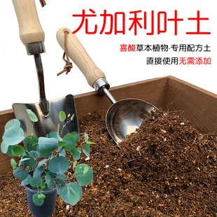 尤加利叶土盆栽种植专用土酸性土椰糠泥炭土壤花泥通用营养土花肥