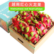 5/7斤礼盒装越南进口红心火龙果红肉大新鲜水果高端送礼