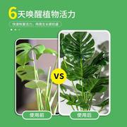 植物营养液通用型家用盆栽养花绿萝富贵竹发财树多肉花肥土培绿植