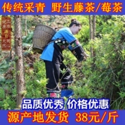 湖南张家界野生新藤茶成叶莓茶土家甘露润喉，下肝火明目