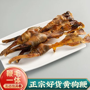 黄狗鞭新鲜黄(新鲜黄)狗肾全套，食用泡酒料中药材鞭干35克整根狗鞭