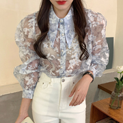 韩国chic春季法式小众尖尖领花色，印花设计网纱微透长袖衬衫上衣女