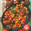 园艺家草莓番茄种子圣女果，阳台四季秋播种家庭，水果蔬菜盆栽西红柿