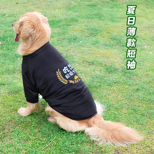 大狗狗衣服夏季薄款金毛萨摩耶拉布拉多夏天背心中型犬大型犬夏装