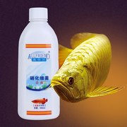 龙鱼专用鱼缸消化菌赤血红龙鱼超血辣椒金龙鱼银龙奥芬兰硝化细菌