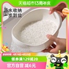 Edo沥水篮大号米筛1个加厚不漏米洗菜盆沥水篮厨房洗水果滤水