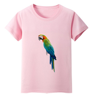 鸟短袖T恤衫鹦鹉粉色衣服装男童绿色湖蓝色女孩子套头儿童装圆领