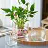 创意简约水培玻璃器皿水养植物瓶透明花器绿萝白掌正方形花瓶容器