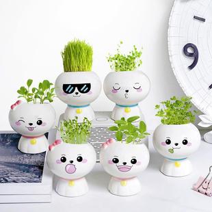 草头娃娃可爱表情小盆栽办公室摆件长草植物迷你创意儿童种植礼物