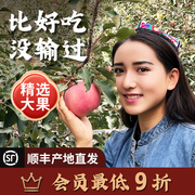 新疆阿克苏冰糖心苹果水果新鲜10斤脆甜当季丑红富士整箱送礼盒装