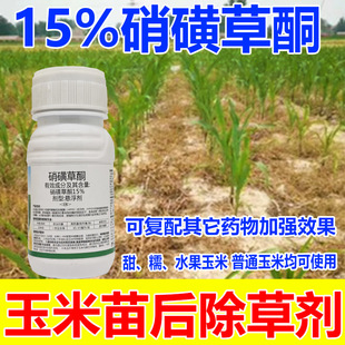 硝磺草酮15%玉米除草剂，甜玉米糯玉米黄玉米专用除草剂