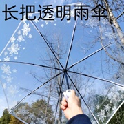 透明雨伞女折叠生如夏花白色甜美感文艺森系创意学生长把伞透明伞