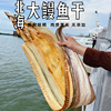 北海特产整条深海大鳗鱼干1-5斤白鳗海鱼咸鱼干年货送礼海鲜干货