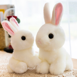 仿真可爱毛绒玩具兔子小白兔，玩偶玉兔公仔，儿童闺蜜生日礼物女孩子