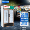 中雪商用双门展示柜风冷无霜冰柜铜管冷柜饮料保鲜柜冰箱冷藏立式