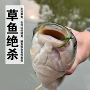 白鹭飞青草钩青苔钩浮钓草鱼钓鳊鱼钓罗非钓清波鱼青草毛钩飞蝇